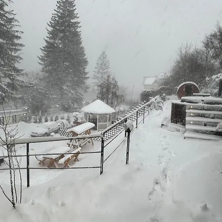 Jolie Luxury Apartment Sinaia